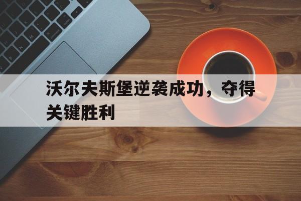 沃尔夫斯堡逆袭成功，夺得关键胜利的简单介绍